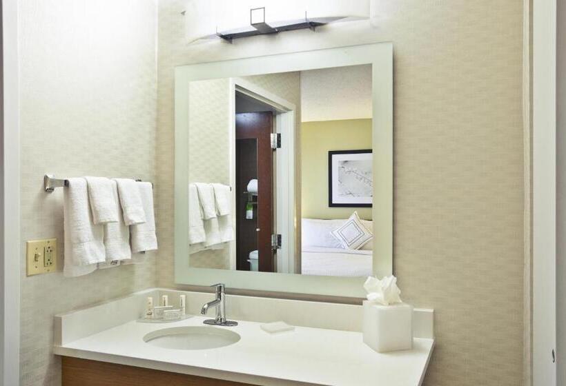 سوئیت با تخت بزرگ, Springhill Suites By Marriott Wichita East At Plazzio