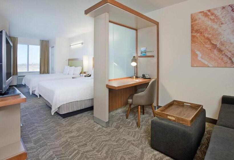سوئیت برای معلولان, Springhill Suites By Marriott Wichita East At Plazzio