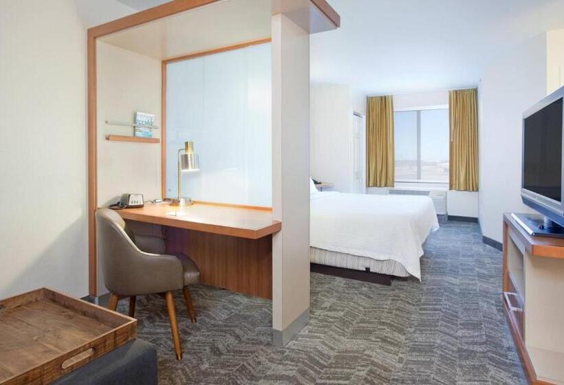 Люкс Адаптированный для Инвалидов, Springhill Suites By Marriott Wichita East At Plazzio
