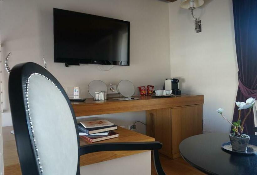 סוויטת סופריור, Trevi Palace Luxury Inn
