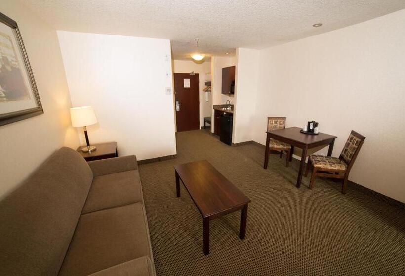 キングサイズベッドのスタンダードルーム, Holiday Inn Express & Suites Whitecourt, An Ihg