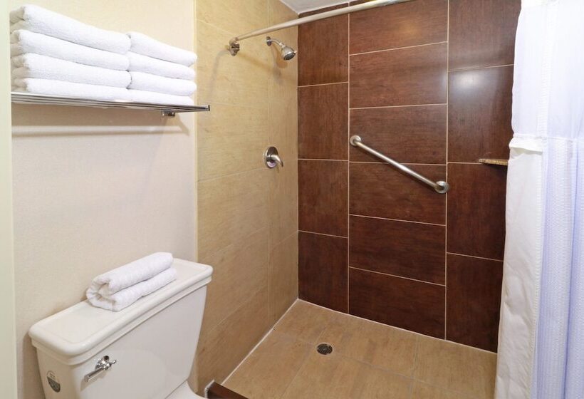 سوییت, Staybridge Suites Queretaro, An Ihg