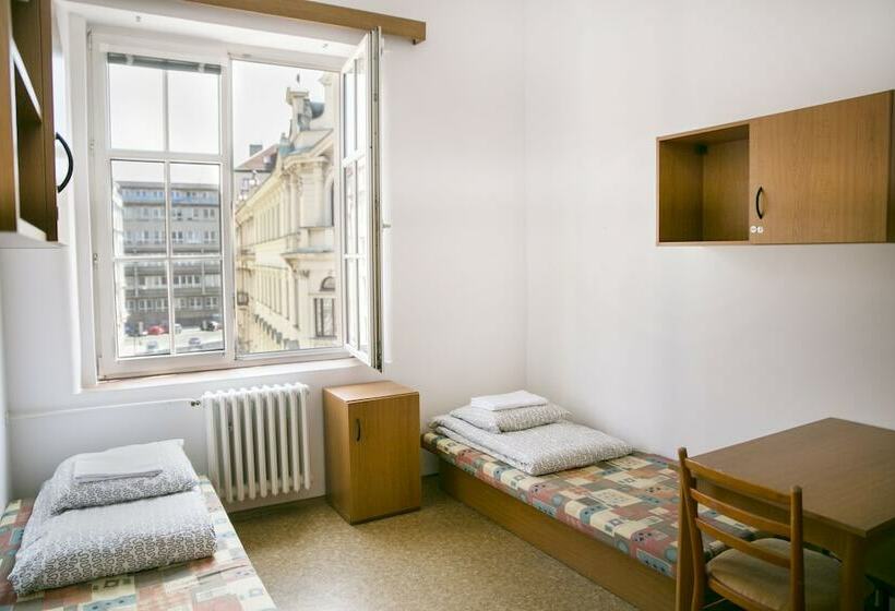 اتاق استاندارد, Dizzy Daisy Hostel