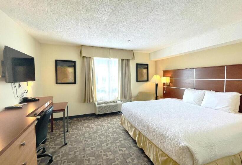 キングサイズベッドのスタンダードルーム, Days Inn By Wyndham Grande Prairie