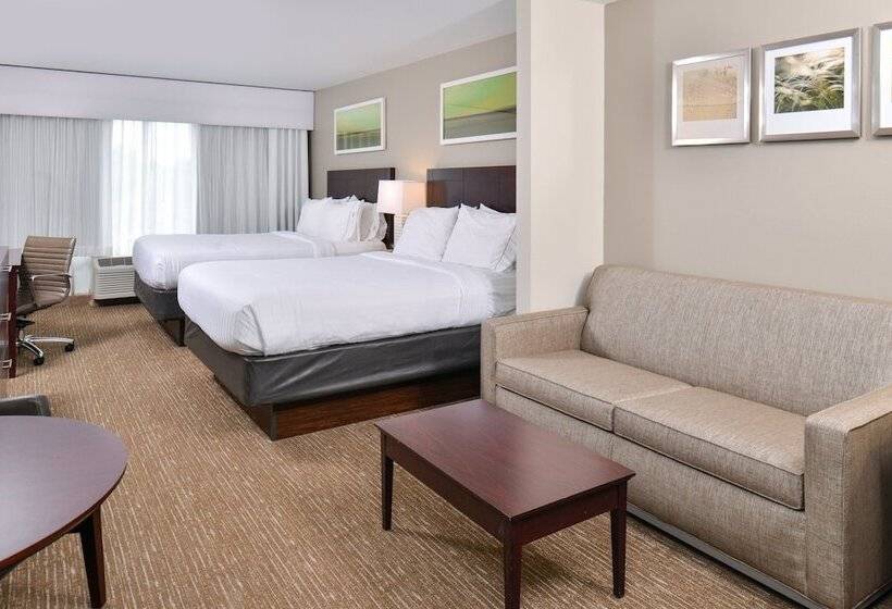 스위트, Holiday Inn Express Hotel & Suites Lafayette, An Ihg