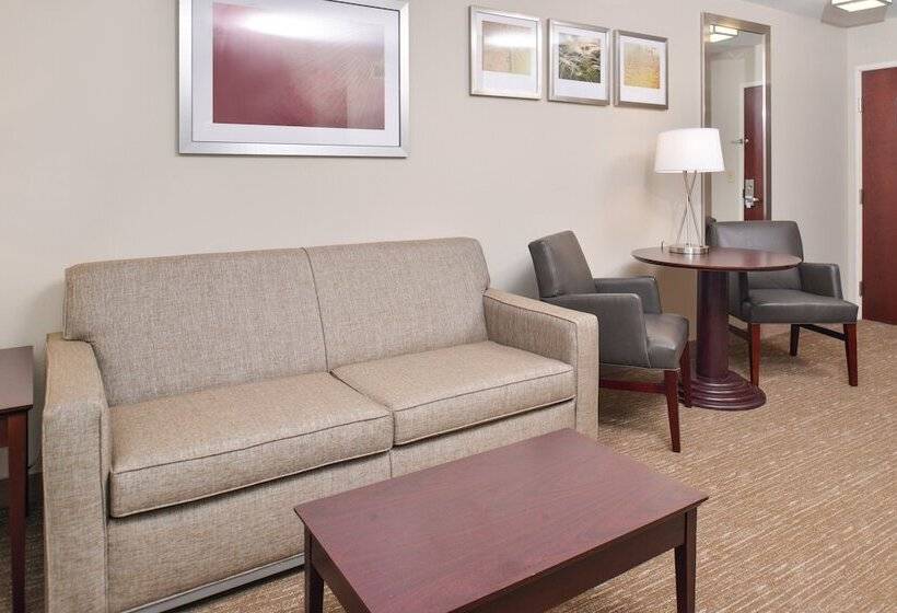 스위트, Holiday Inn Express Hotel & Suites Lafayette, An Ihg