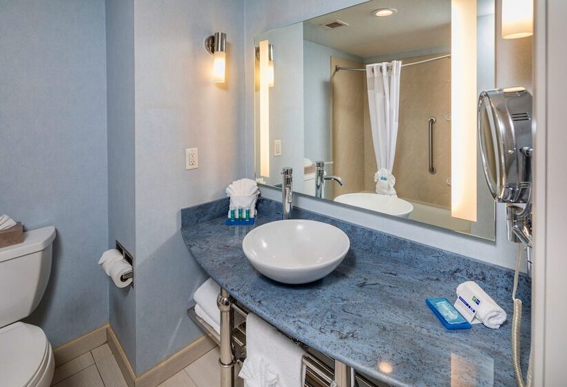 Люкс, Holiday Inn Express Hotel & Suites Modesto Salida, An Ihg