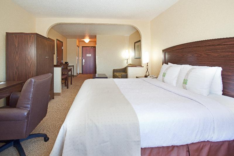 Номер Стандарт Кровать Кинг Адаптированный для Инвалидов, Holiday Inn Denver Parker E470/parker Road By Ihg