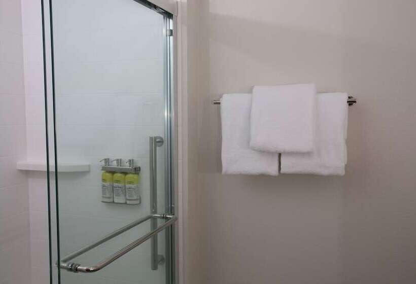 스탠다드 룸, Holiday Inn Express Hotel And Suites Lincoln Airport, An Ihg