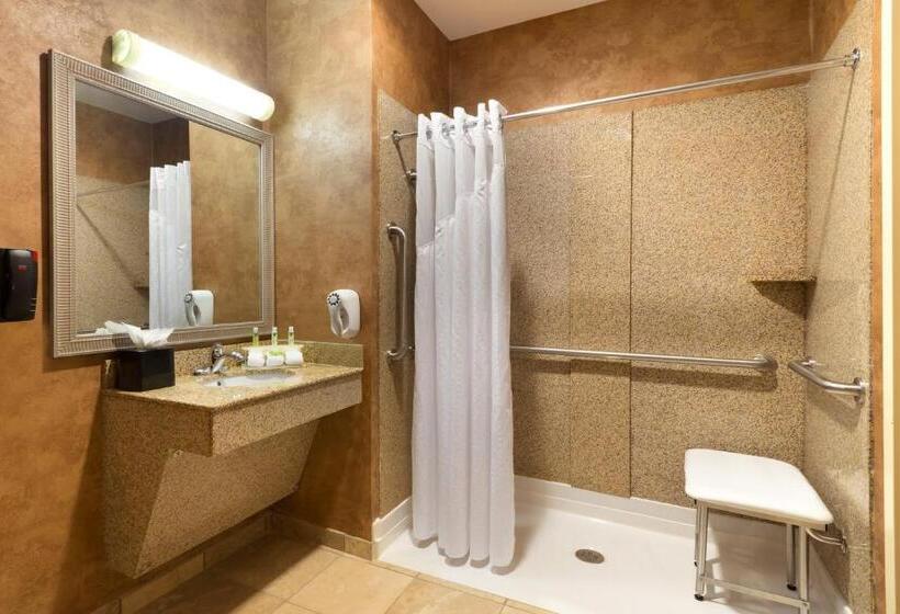스위트, Holiday Inn Express Suites Little Rock West, An Ihg
