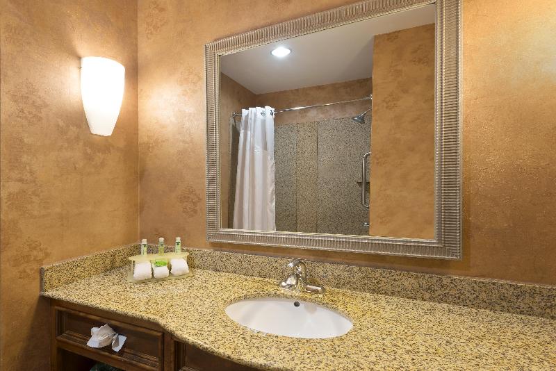 חדר סטנדרט, Holiday Inn Express Suites Little Rock West, An Ihg