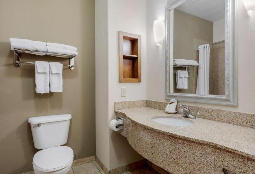 Номер Стандарт, Best Western Plus Sweetwater Inn & Suites