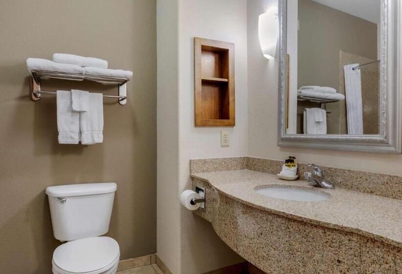 Люкс Кровать Кинг, Best Western Plus Sweetwater Inn & Suites