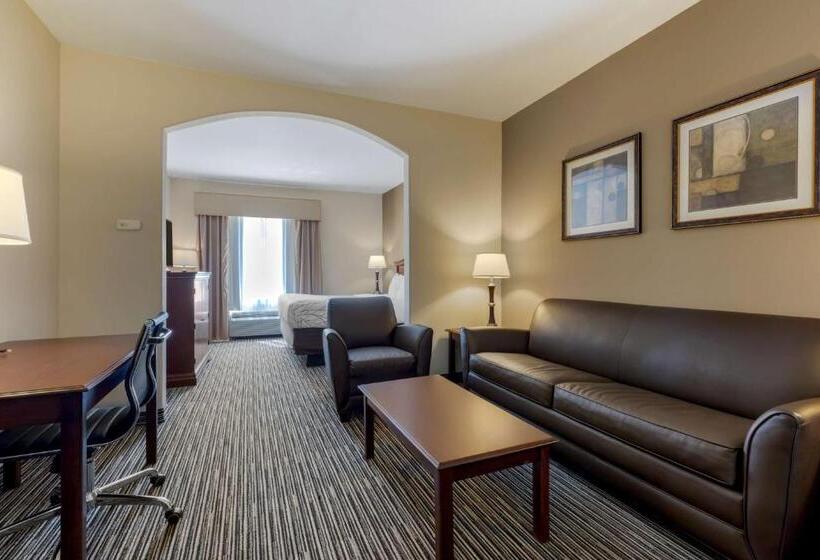 Люкс, Best Western Plus Sweetwater Inn & Suites