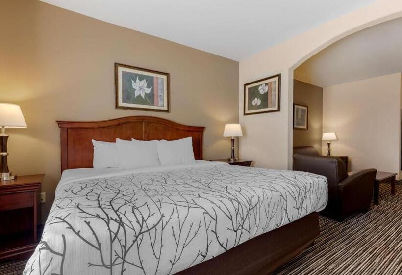 Люкс, Best Western Plus Sweetwater Inn & Suites