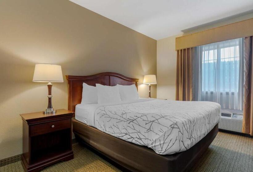 Номер Стандарт Кровать Кинг Адаптированный для Инвалидов, Best Western Plus Sweetwater Inn & Suites