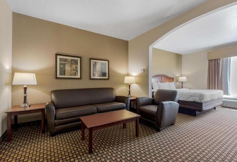 Люкс Адаптированный для Инвалидов, Best Western Plus Sweetwater Inn & Suites