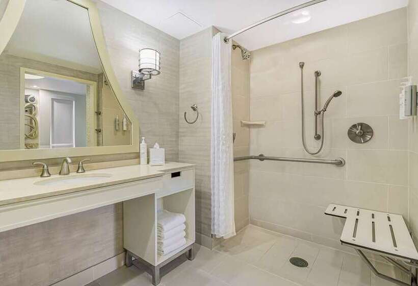 Люкс, Embassy Suites Houston Downtown