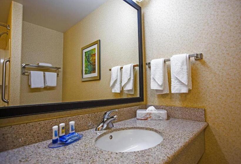 Camera Standard, Fairfield Inn & Suites Toledo North