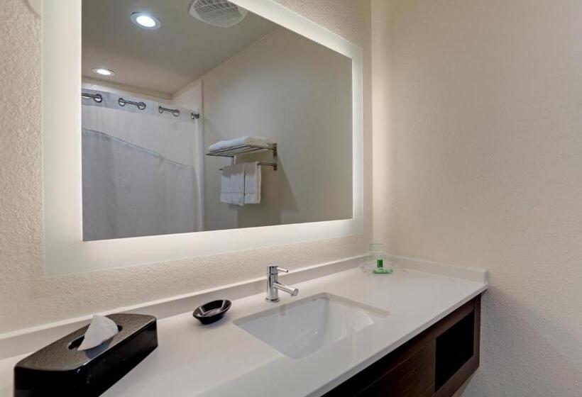 스탠다드 룸 킹사이즈 침대, Holiday Inn Mobile Airport, An Ihg