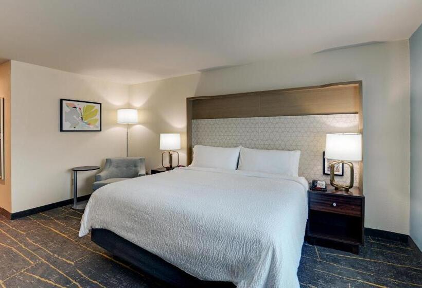 Quarto Estandar Cama King, Holiday Inn Mobile Airport, An Ihg