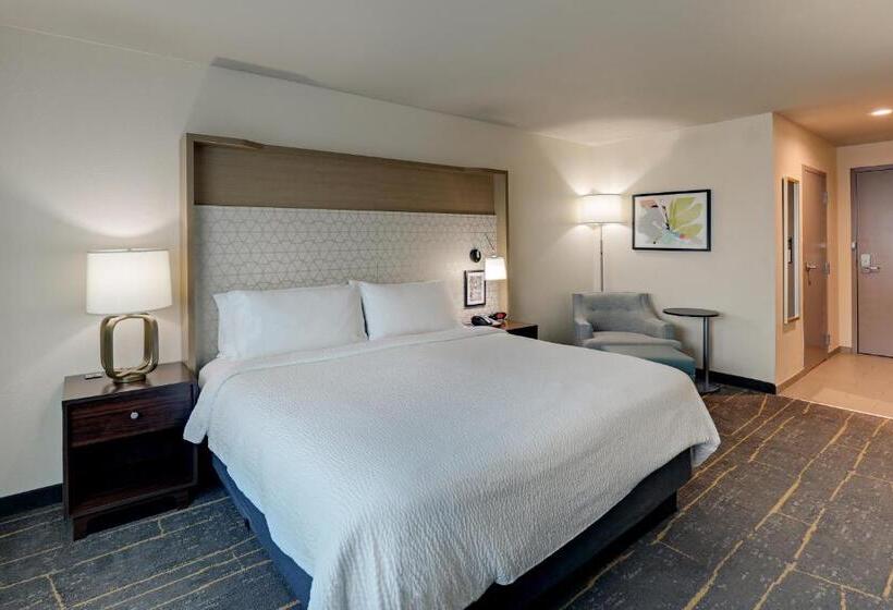 스탠다드 룸 킹사이즈 침대, Holiday Inn Mobile Airport, An Ihg