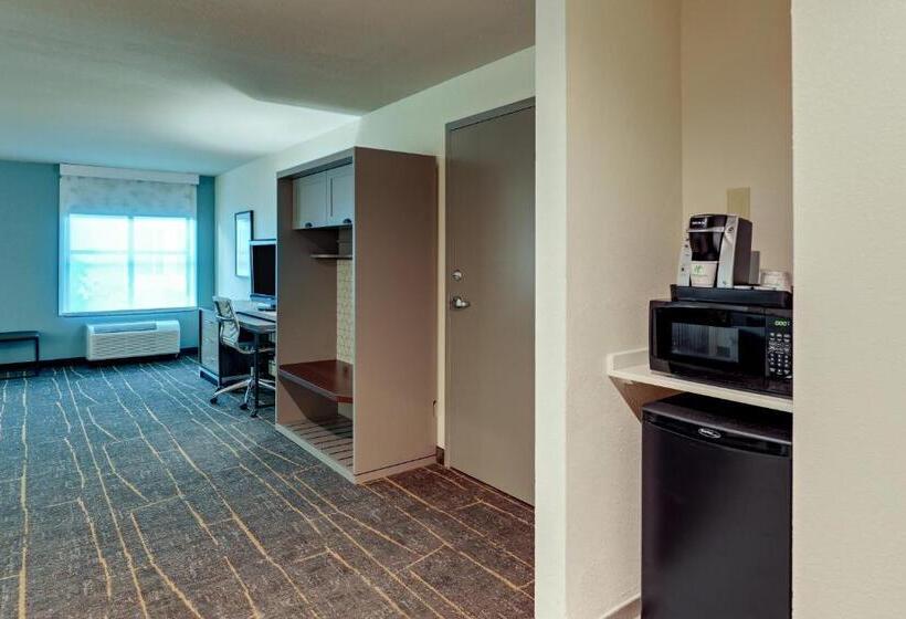 quarto Deluxe Adaptado para Deficientes Físicos, Holiday Inn Mobile Airport, An Ihg