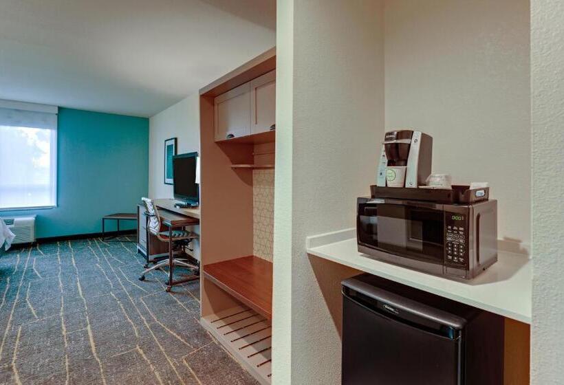 장애인을 위한 킹사이즈 침대 스탠다드 룸, Holiday Inn Mobile Airport, An Ihg