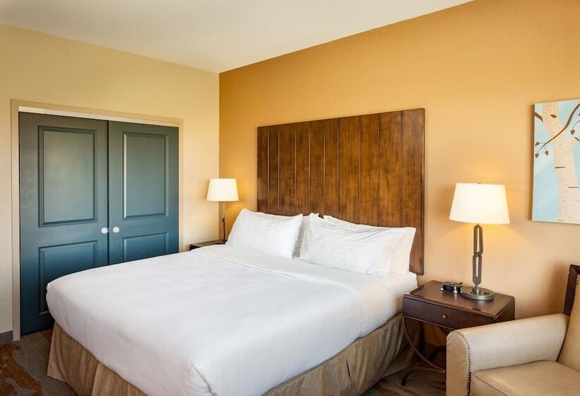 适合残疾人士使用的套间, Holiday Inn San Antonio Northwest  Seaworld Area, An Ihg