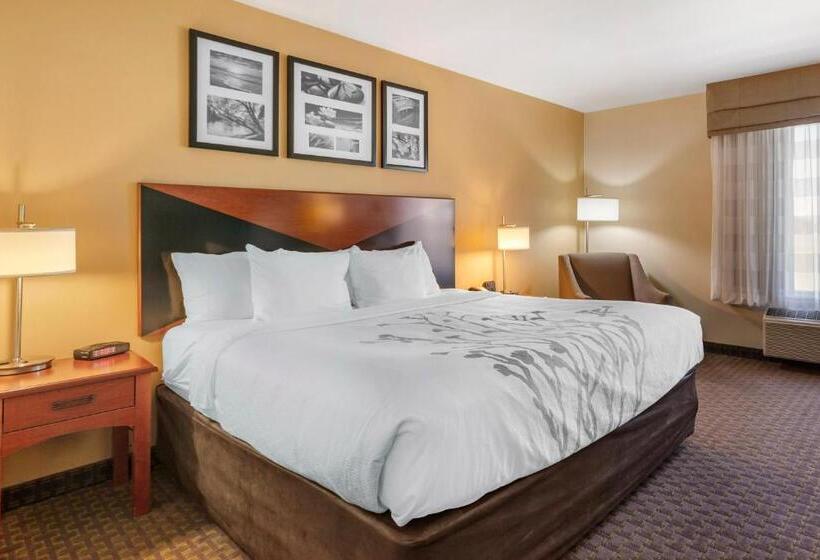 스탠다드 룸 킹사이즈 침대, Sleep Inn & Suites Idaho Falls Gateway To Yellowstone