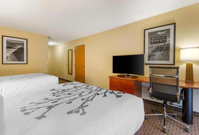 스탠다드 룸, Sleep Inn & Suites Idaho Falls Gateway To Yellowstone