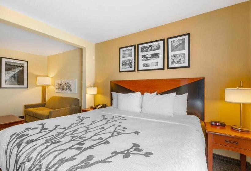 장애인을 위한 킹사이즈 침대 스탠다드 룸, Sleep Inn & Suites Idaho Falls Gateway To Yellowstone