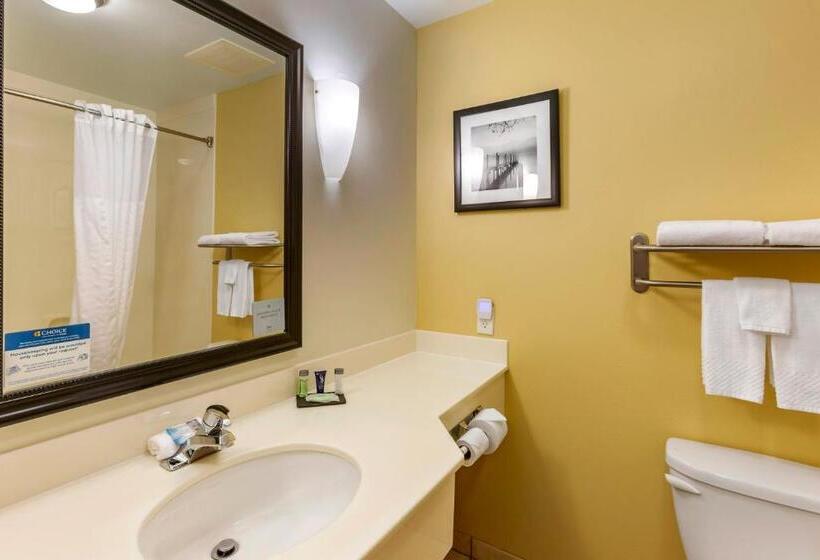 장애인을 위한 스탠다드 룸, Sleep Inn & Suites Idaho Falls Gateway To Yellowstone