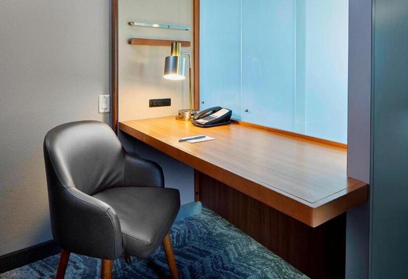 استودیو استاندارد با تخت کینگ, Springhill Suites By Marriott Las Vegas Convention Center