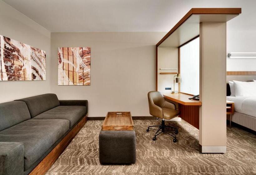 استودیوی لوکس, Springhill Suites By Marriott Las Vegas Convention Center