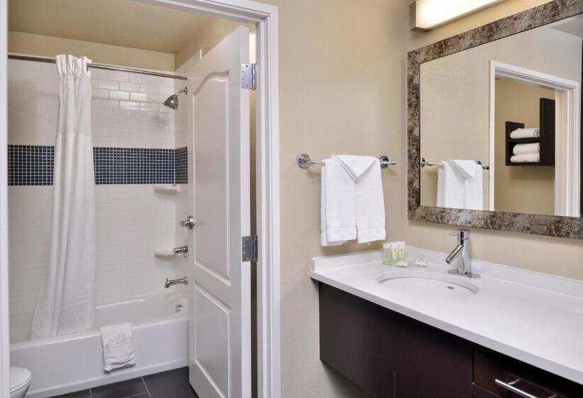 标准工作室, Staybridge Suites San Antonio Stone Oak, An Ihg