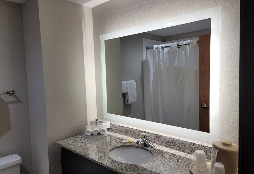 장애인을 위한 스위트, Holiday Inn Express & Suites Wilson Downtown, An Ihg
