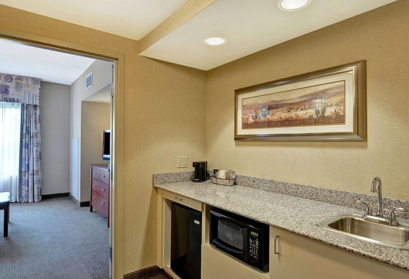 스위트, Hampton Inn Sayre