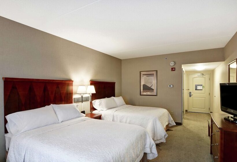 스탠다드 룸 더블 침대 2개, Hampton Inn Sayre