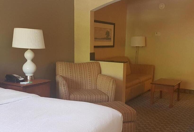 Estúdio standard Cama King, Holiday Inn Carbondale   Conference Center, An Ihg