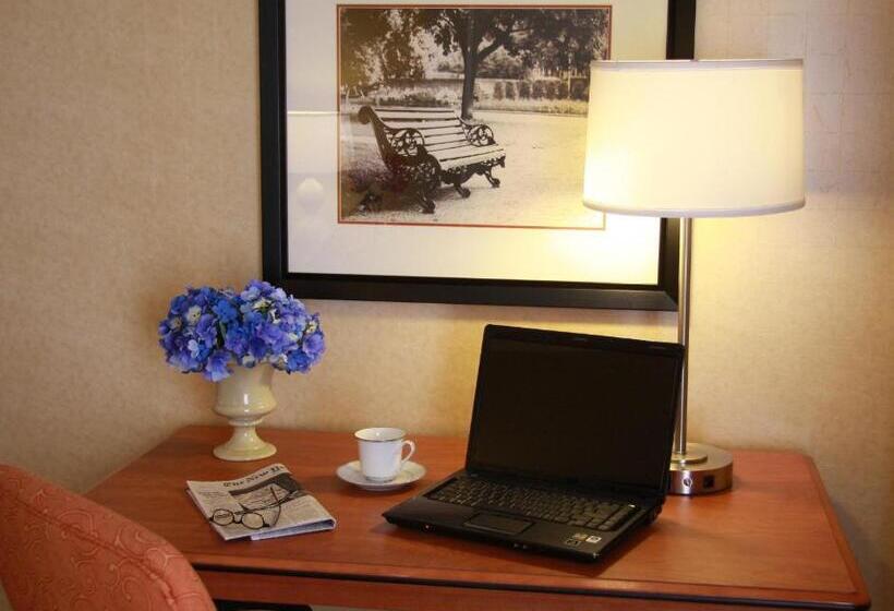 Estúdio standard Cama King, Holiday Inn Carbondale   Conference Center, An Ihg