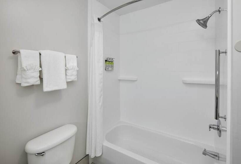 Quarto Estandar, Holiday Inn Express Hotel & Suites Pensacola West Navy Base, An Ihg