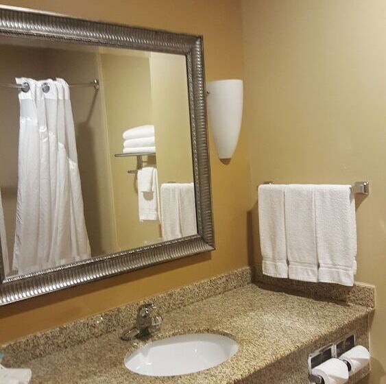 Quarto Estandar para Deficientes Físicos, Holiday Inn Express Hotel & Suites Pensacola West Navy Base, An Ihg