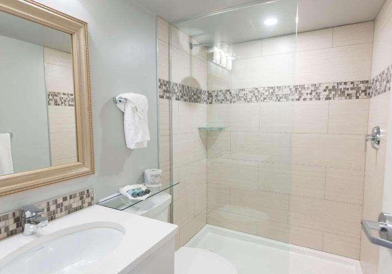 장애인을 위한 스위트, Holiday Inn Express And Suites Heber Springs, An Ihg