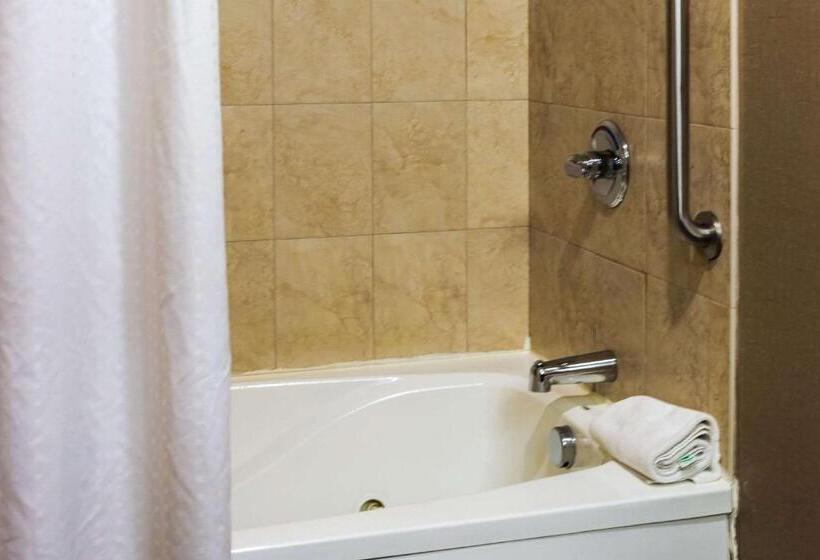 스탠다드 룸, Comfort Inn & Suites Plainvillefoxboro