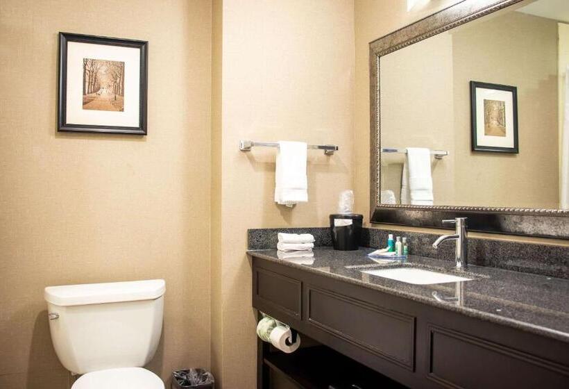 스탠다드 룸 킹사이즈 침대, Comfort Inn & Suites Plainvillefoxboro