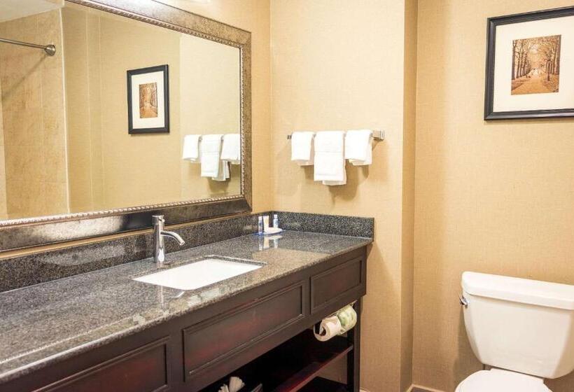 장애인을 위한 킹사이즈 침대 스탠다드 룸, Comfort Inn & Suites Plainvillefoxboro