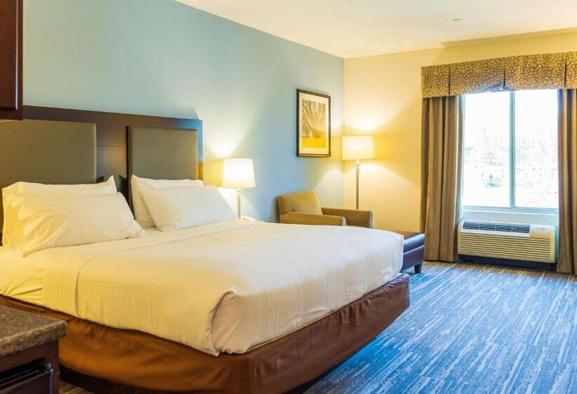 장애인을 위한 킹사이즈 침대 스탠다드 룸, Comfort Inn & Suites Plainvillefoxboro