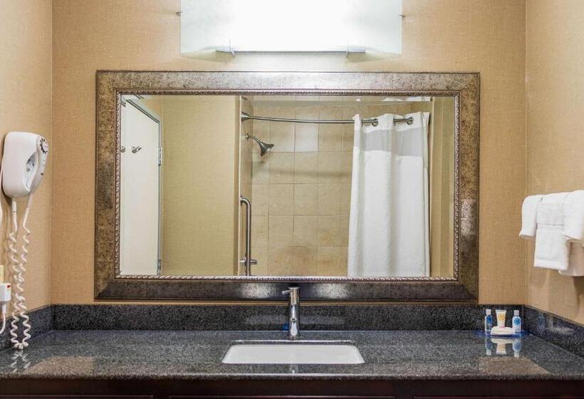 장애인을 위한 스탠다드 룸, Comfort Inn & Suites Plainvillefoxboro