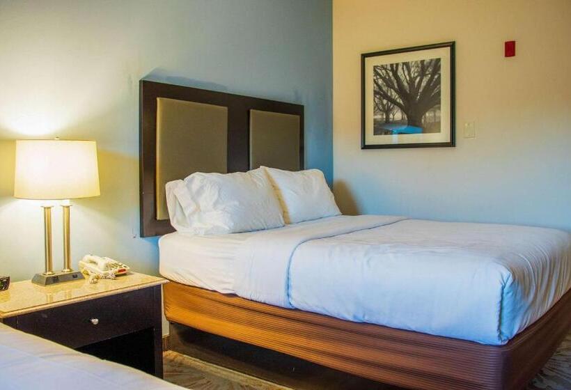 장애인을 위한 스탠다드 룸, Comfort Inn & Suites Plainvillefoxboro